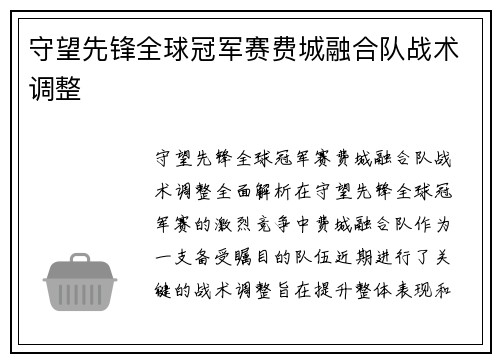 守望先锋全球冠军赛费城融合队战术调整
