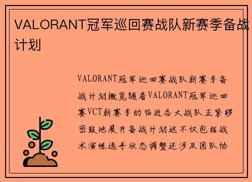 VALORANT冠军巡回赛战队新赛季备战计划