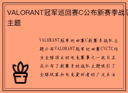 VALORANT冠军巡回赛C公布新赛季战队主题