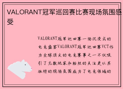 VALORANT冠军巡回赛比赛现场氛围感受